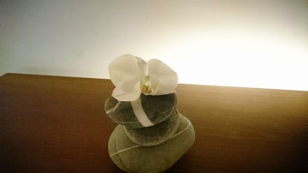 dsc_32821116651242.jpg